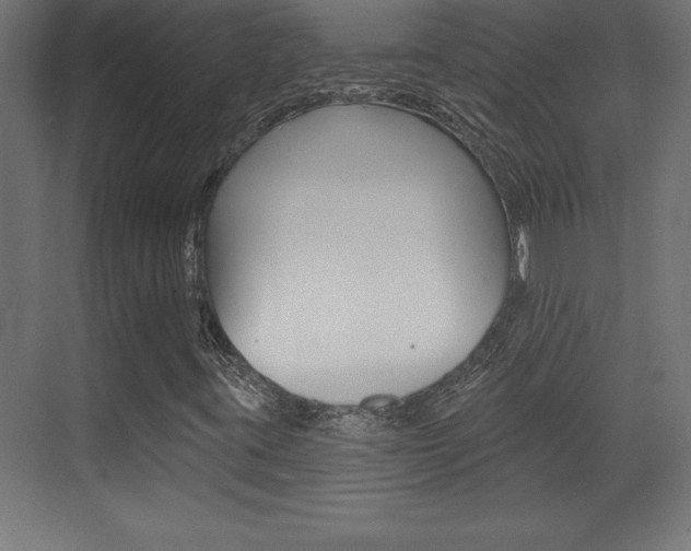 X0000072921395200607210854
