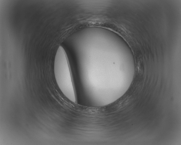 X0000072921396200607210854