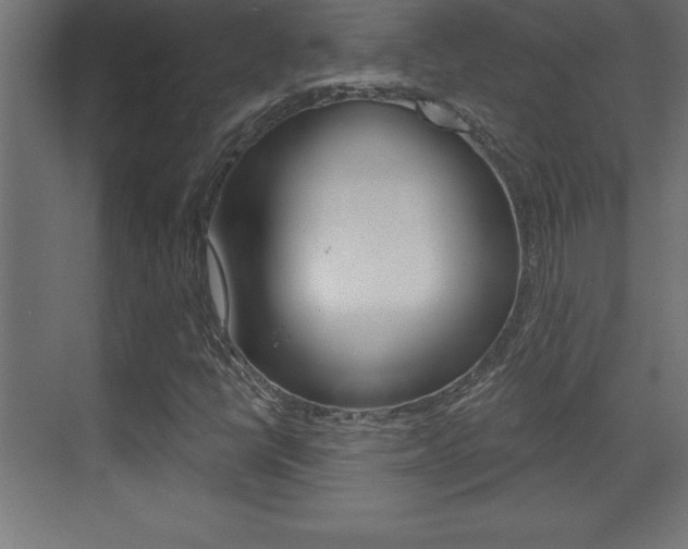 X0000072921398200607210854