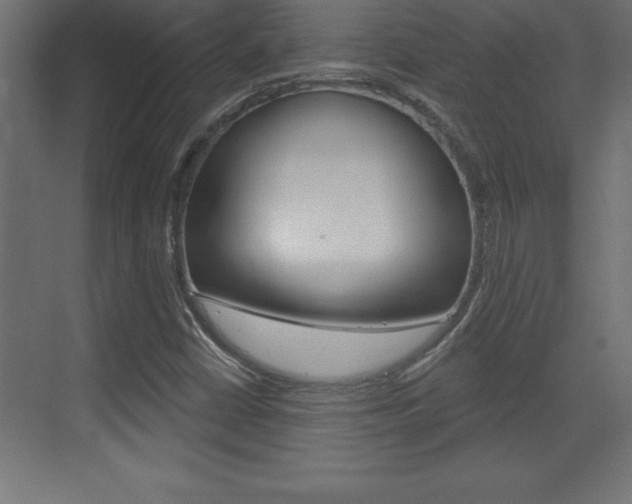 X0000072921402200607210854