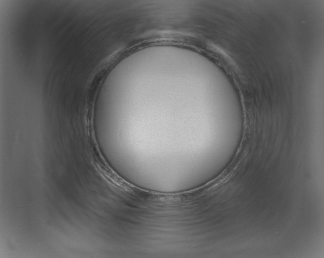 X0000072921403200607210854