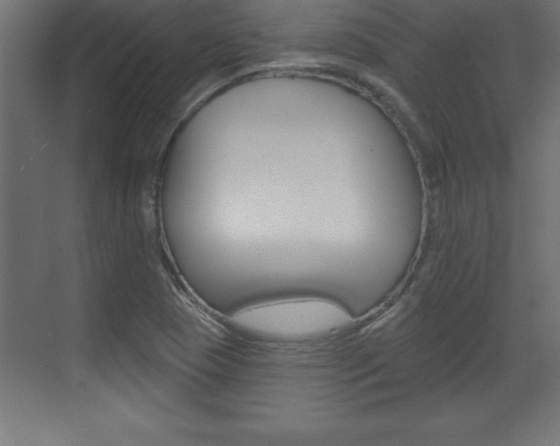 X0000072921409200607210854