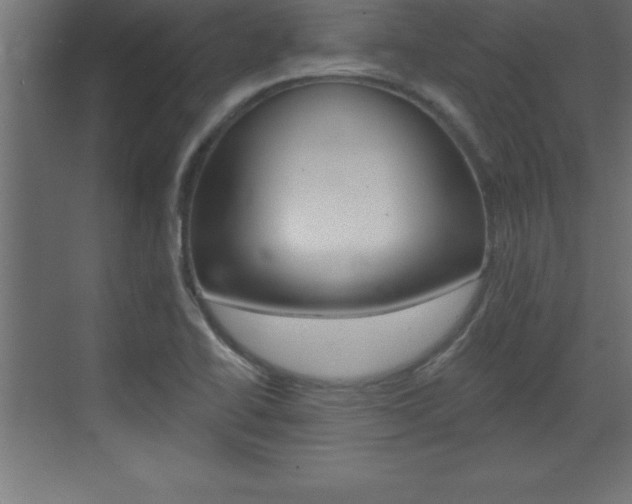 X0000072921414200607210854