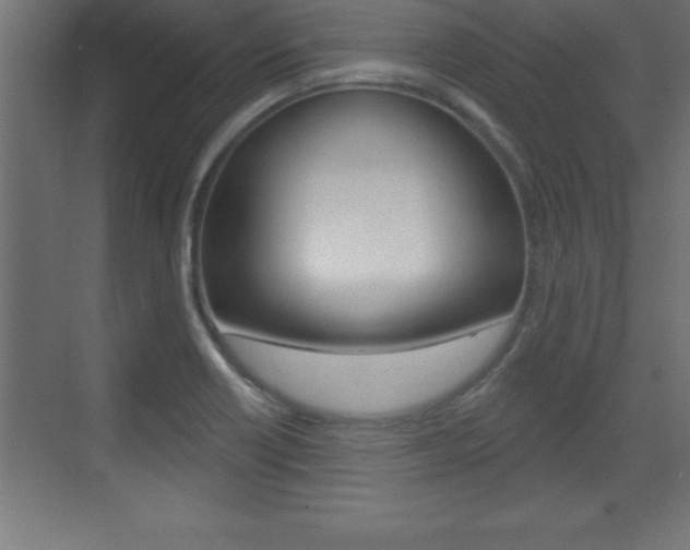 X0000072921418200607210854