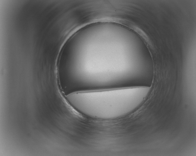X0000072921428200607210855