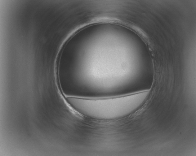 X0000072921430200607210855