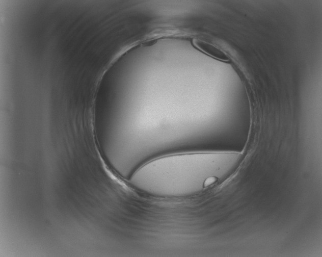 X0000072921433200607210855