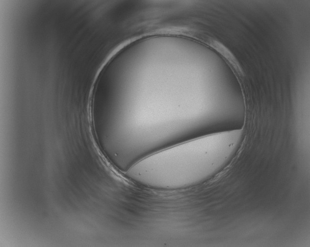 X0000072921436200607210855