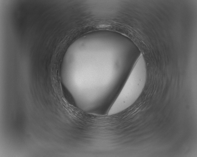 X0000072921441200607210854