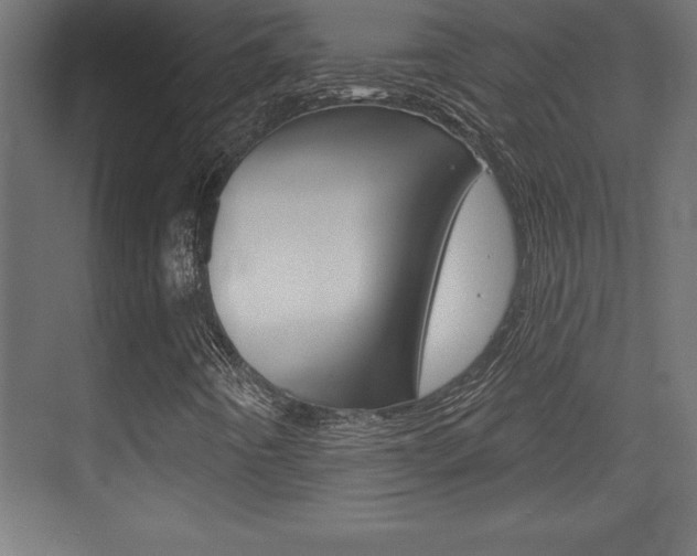 X0000072921442200607210854