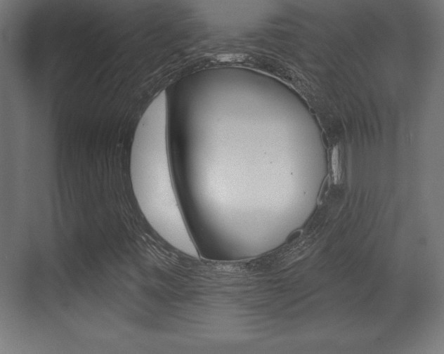 X0000072921443200607210854