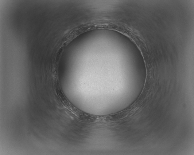 X0000072921445200607210854