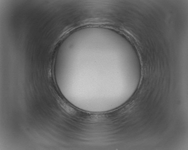 X0000072921451200607210854