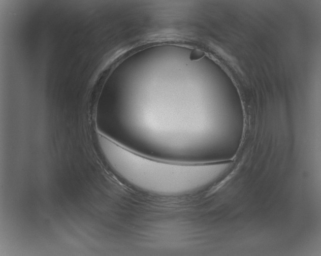 X0000072921453200607210854