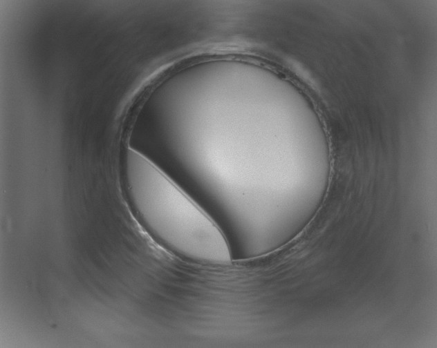 X0000072921456200607210854