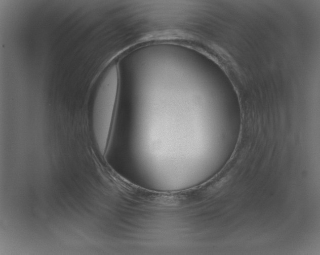 X0000072921457200607210854