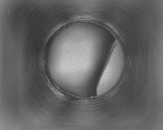 X0000072921458200607210854