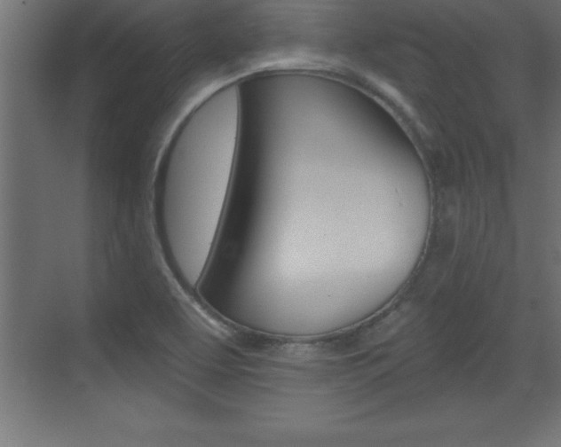 X0000072921463200607210854