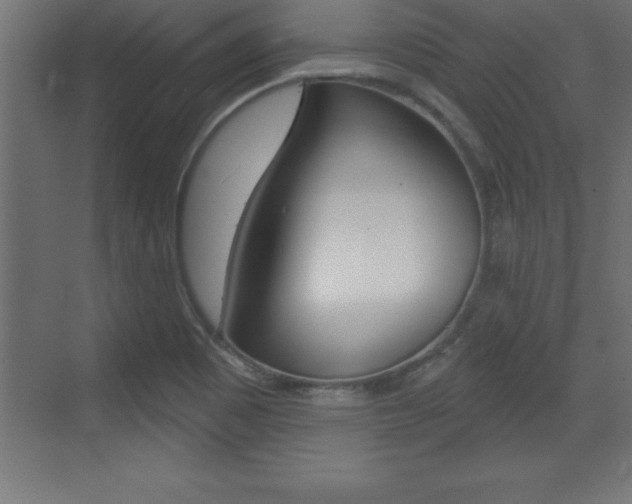 X0000072921465200607210854
