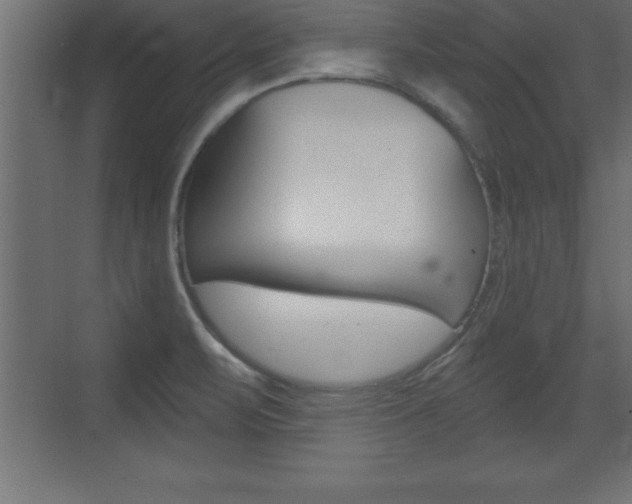 X0000072921471200607210853
