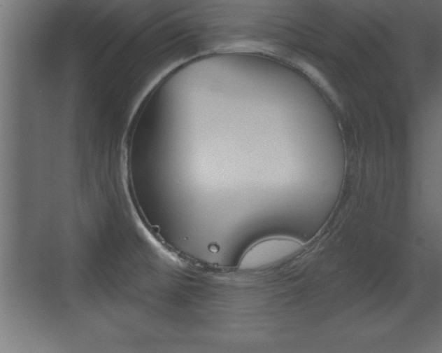 X0000072921476200607210853