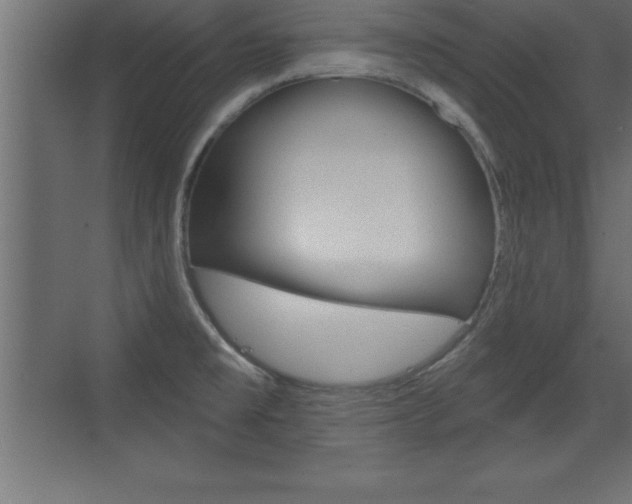 X0000072921477200607210853