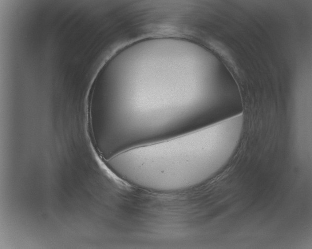X0000072921479200607210853