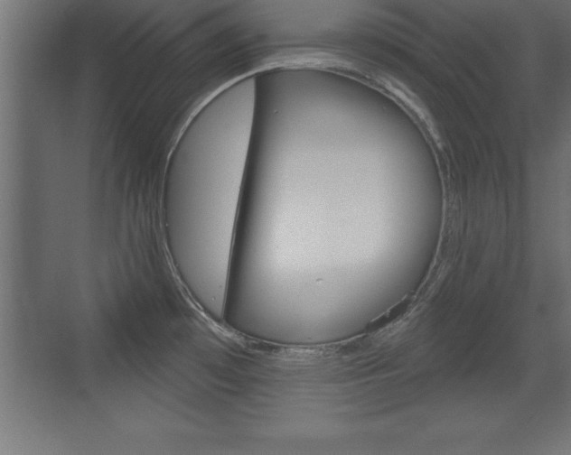 X0000072921481200607210853