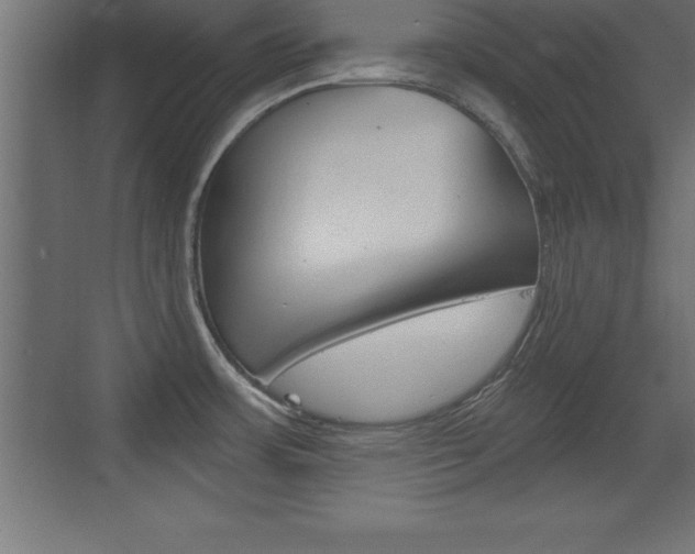 X0000072921483200607210853