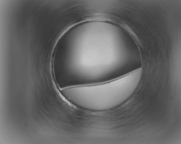 X0000072921484200607210853