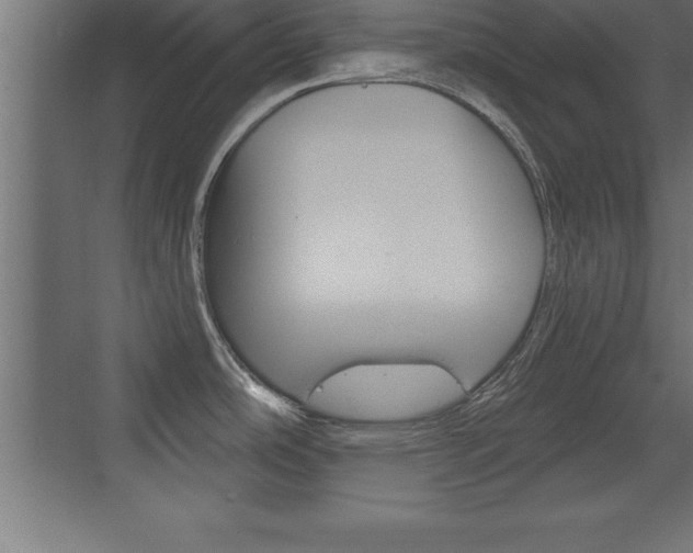 X0000072921486200607210853