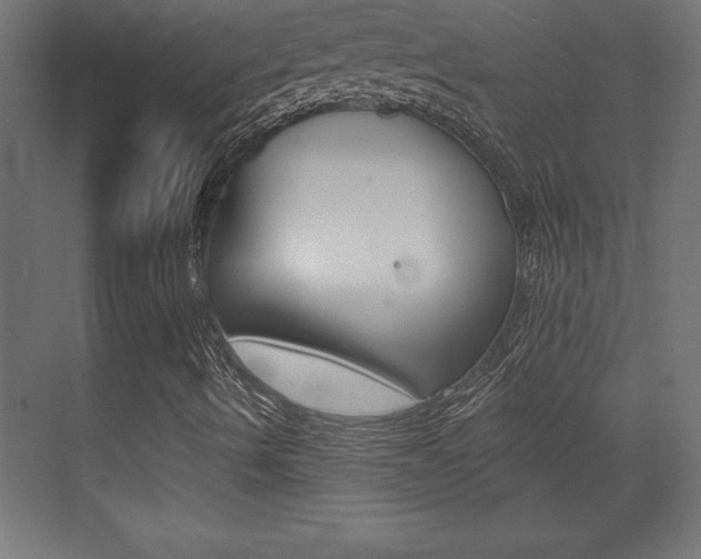 X0000072921490200607210852