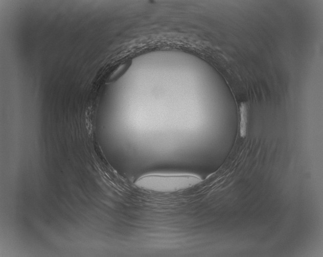 X0000072921491200607210852