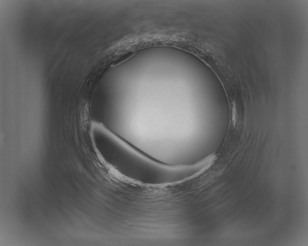 X0000072921492200607210852