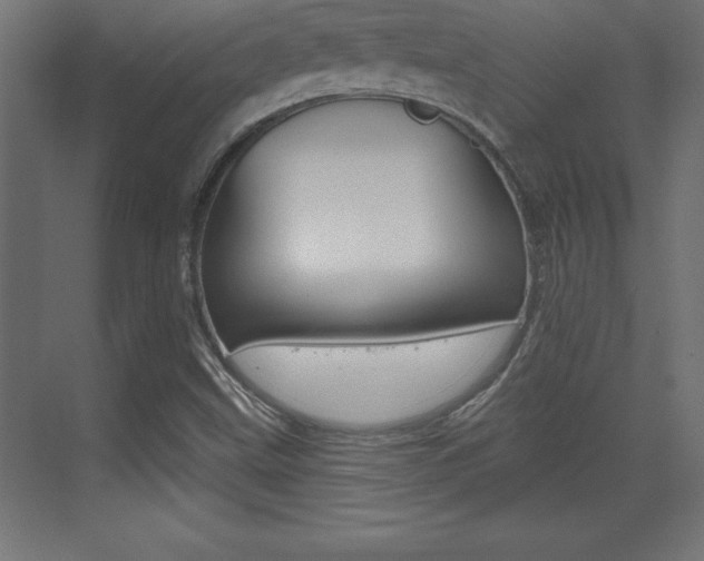 X0000072921499200607210852