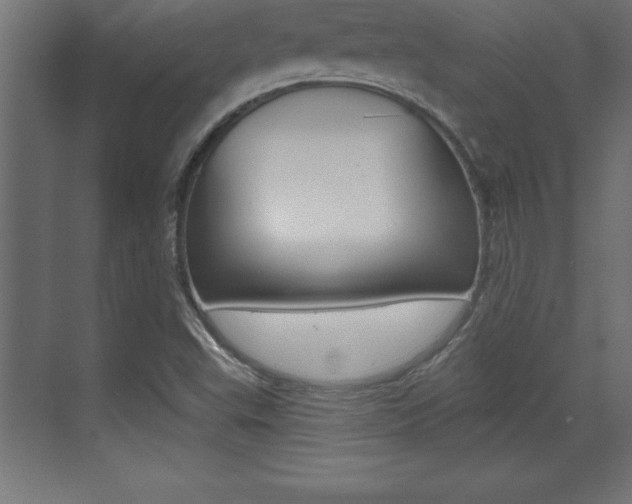 X0000072921503200607210853