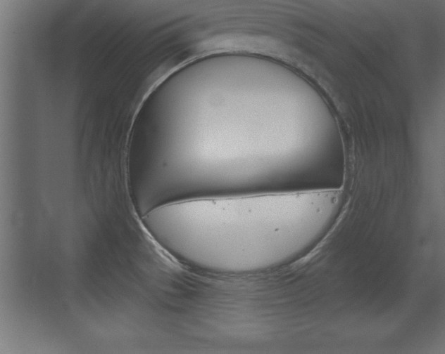 X0000072921529200607210853