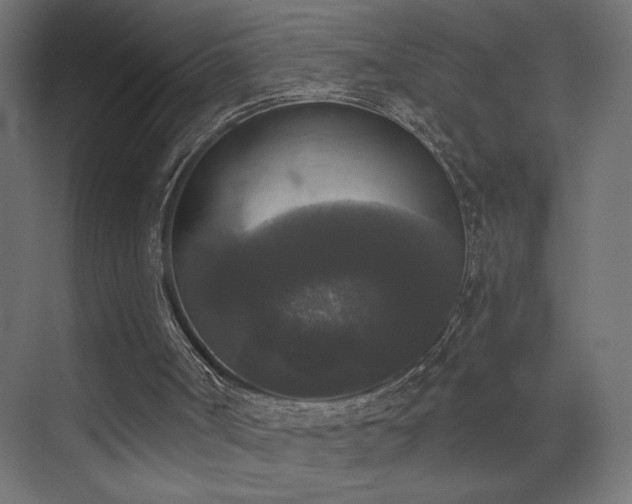X0000072920002200607211113