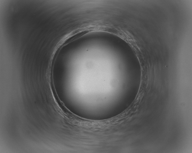 X0000072920003200607211113