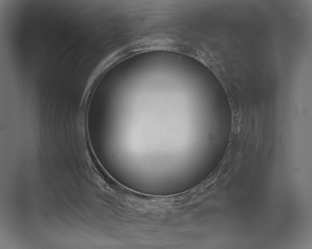 X0000072920004200607211113