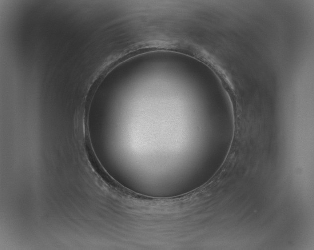 X0000072920011200607211113