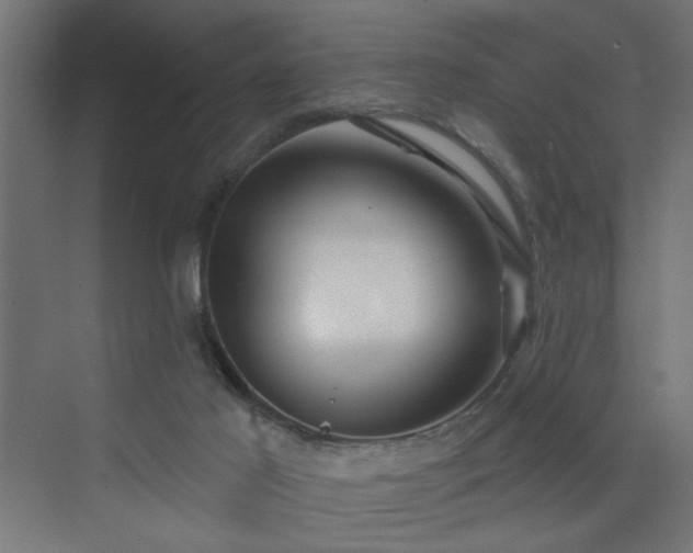 X0000072920021200607211113