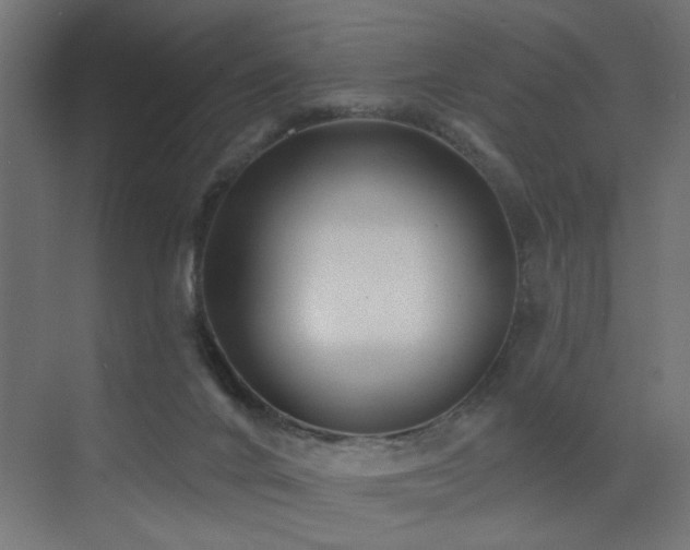 X0000072920024200607211113