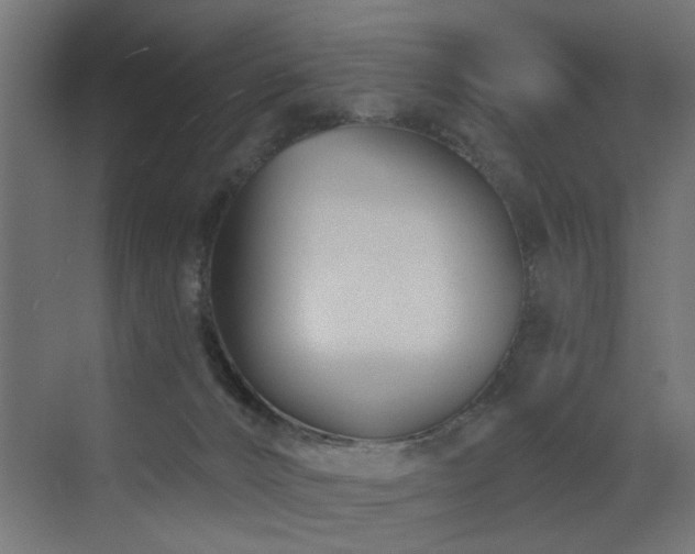 X0000072920032200607211113