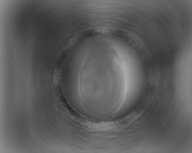 X0000072920036200607211112