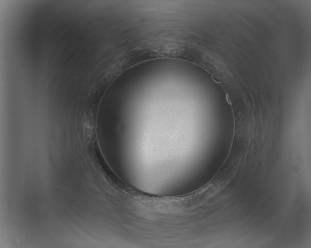 X0000072920040200607211112