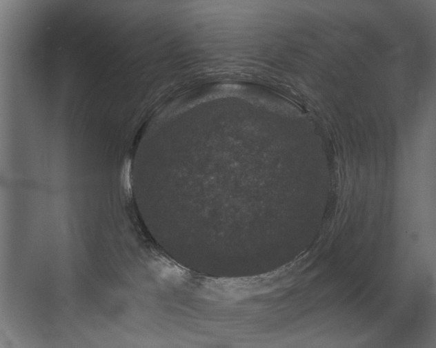 X0000072920041200607211112