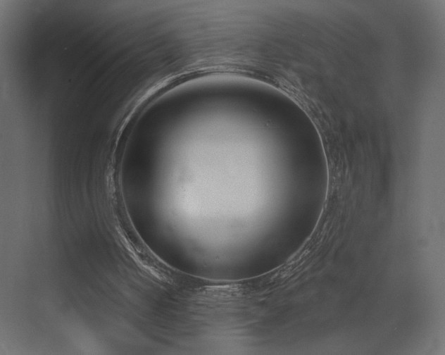 X0000072920050200607211111