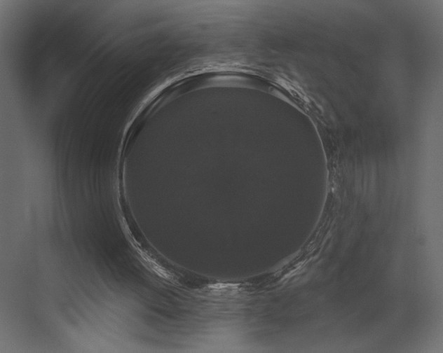 X0000072920052200607211112