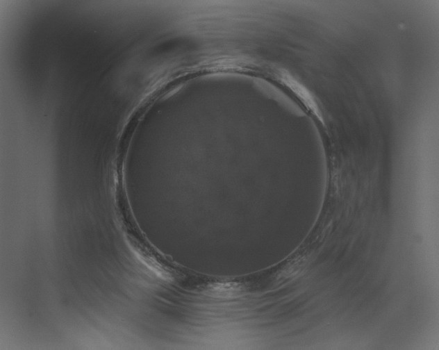X0000072920059200607211112